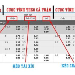 uDw0sDtQIia8kLB4YEwMh3-NYDVvnXpZnoqqpZj-otp4LStGCO0IoeC3IisvPPVsXi9IVZyM48RTh_kIo0zIzad-Oxqjm6-zdHZm5nVPZlEnkY1WgRlwp4PVA8KxGJc9Y2pT_yhvz50yHU6OzU8TR1g