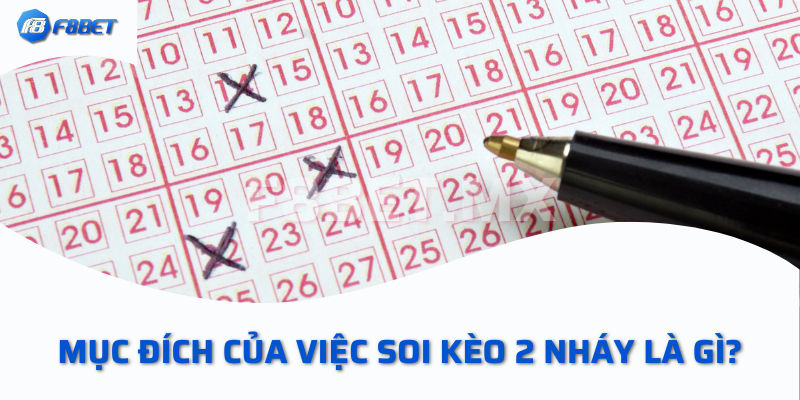 Hướng Dẫn Cách Soi Kèo 2 Nháy Chính Xác Mà Bạn Nên Nắm Bắt