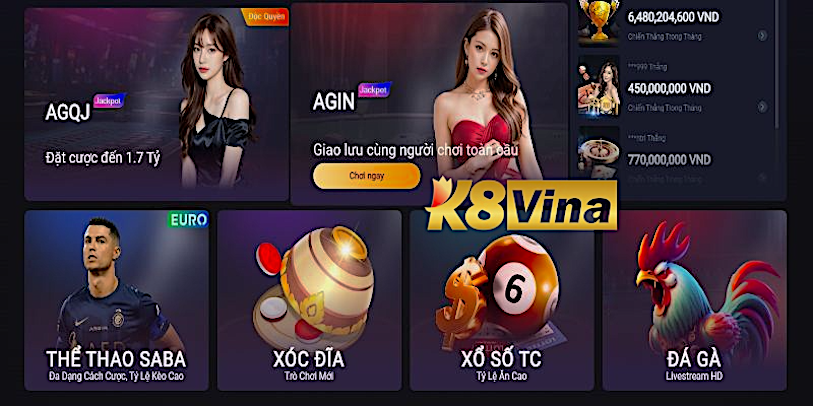 K8VINA