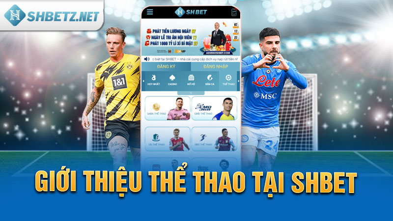 Giới thiệu thể thao tại SHBET