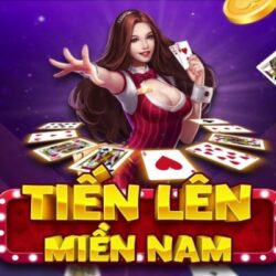 thong-tin-co-ban-ve-tien-len-mien-nam-debet